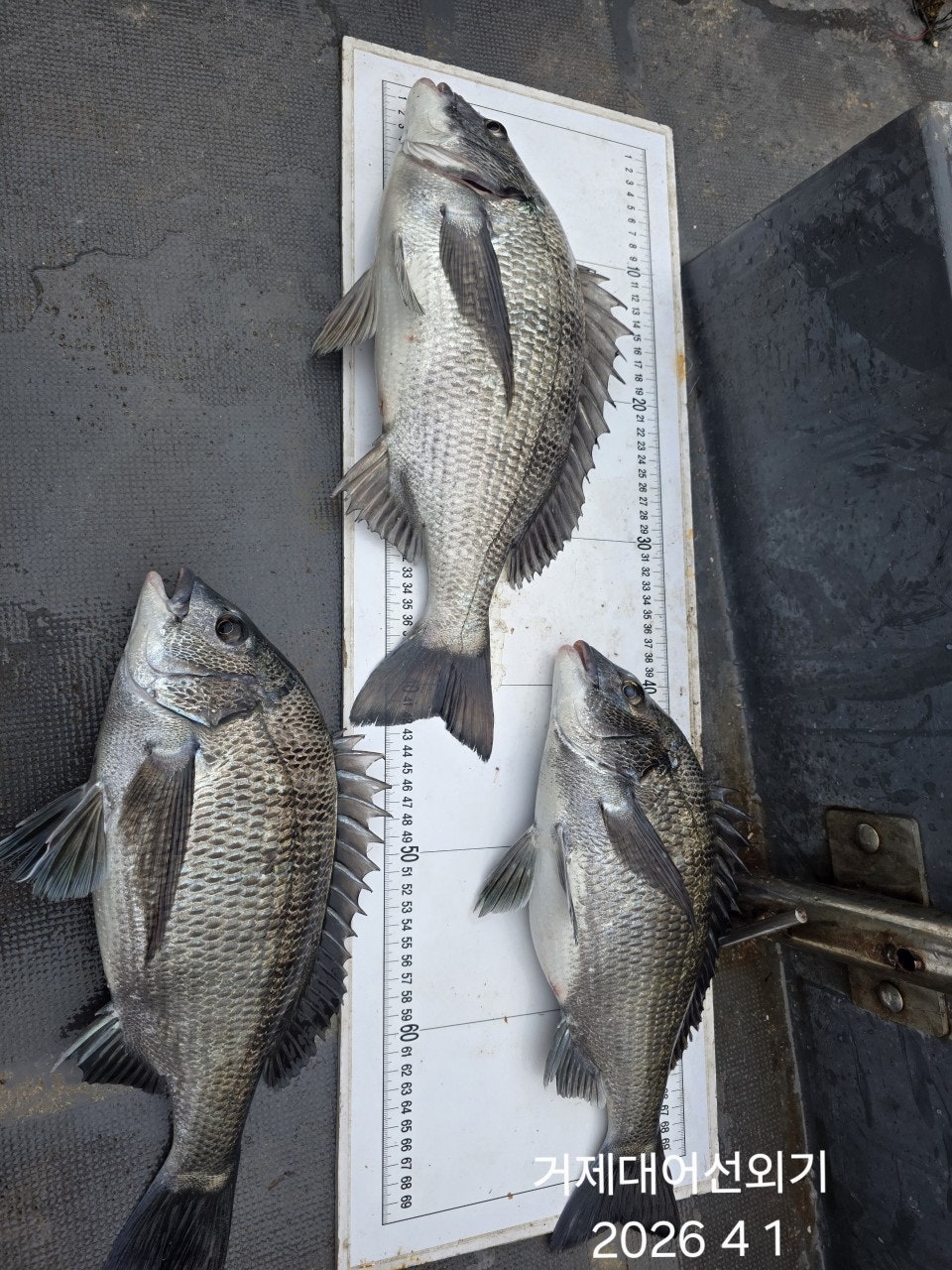 ����ڰ� �ø� �̹���