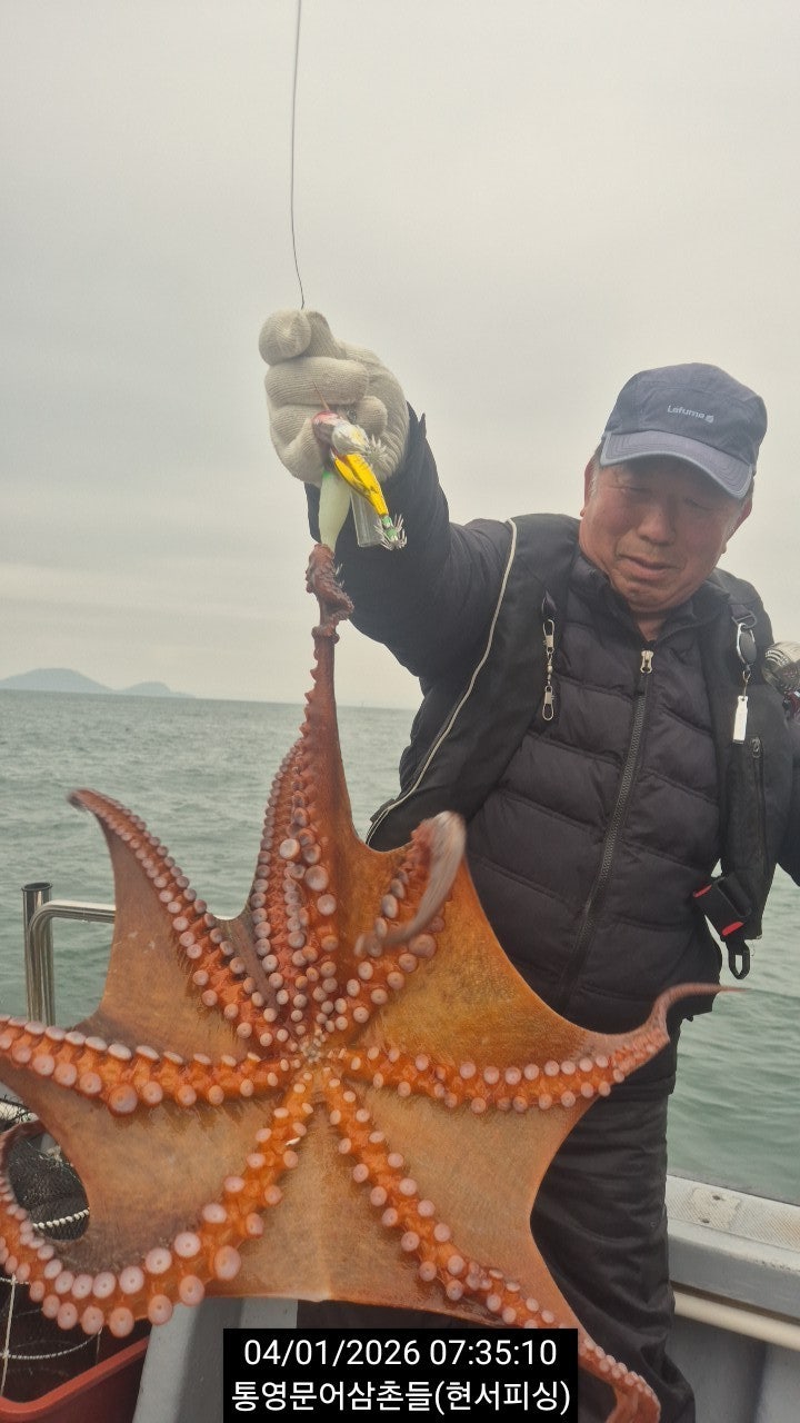 ����ڰ� �ø� �̹���