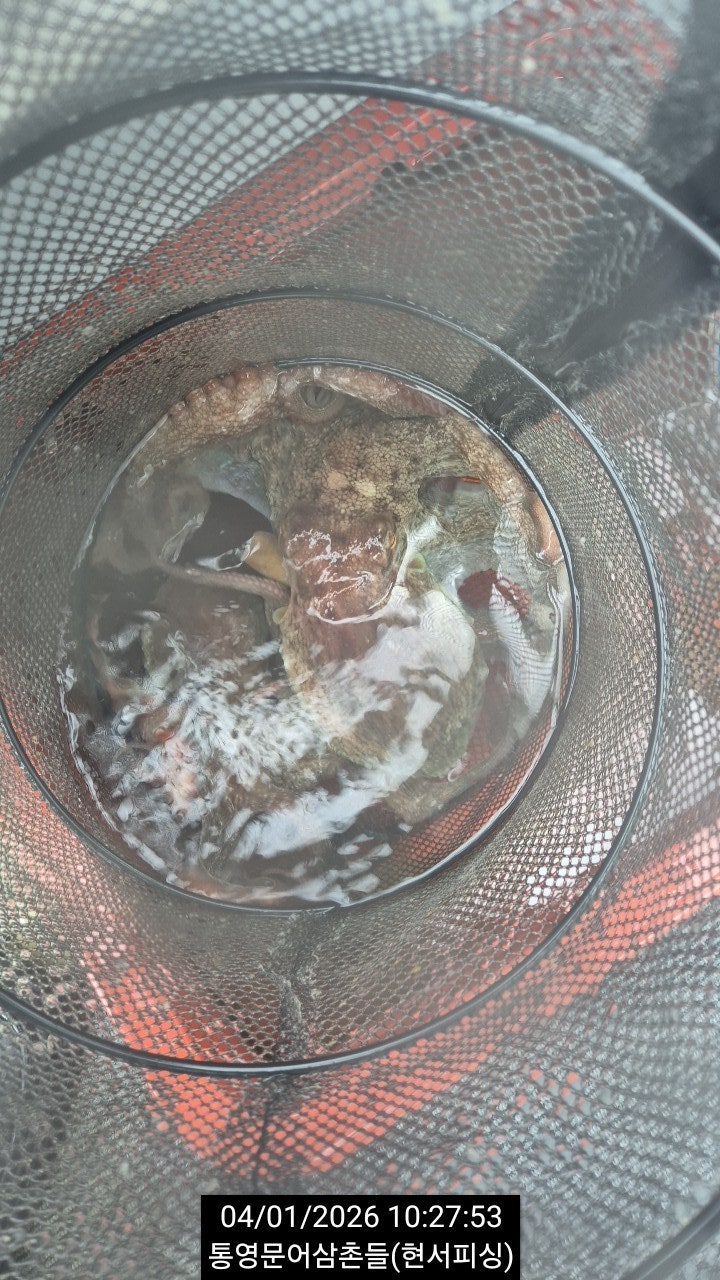 ����ڰ� �ø� �̹���