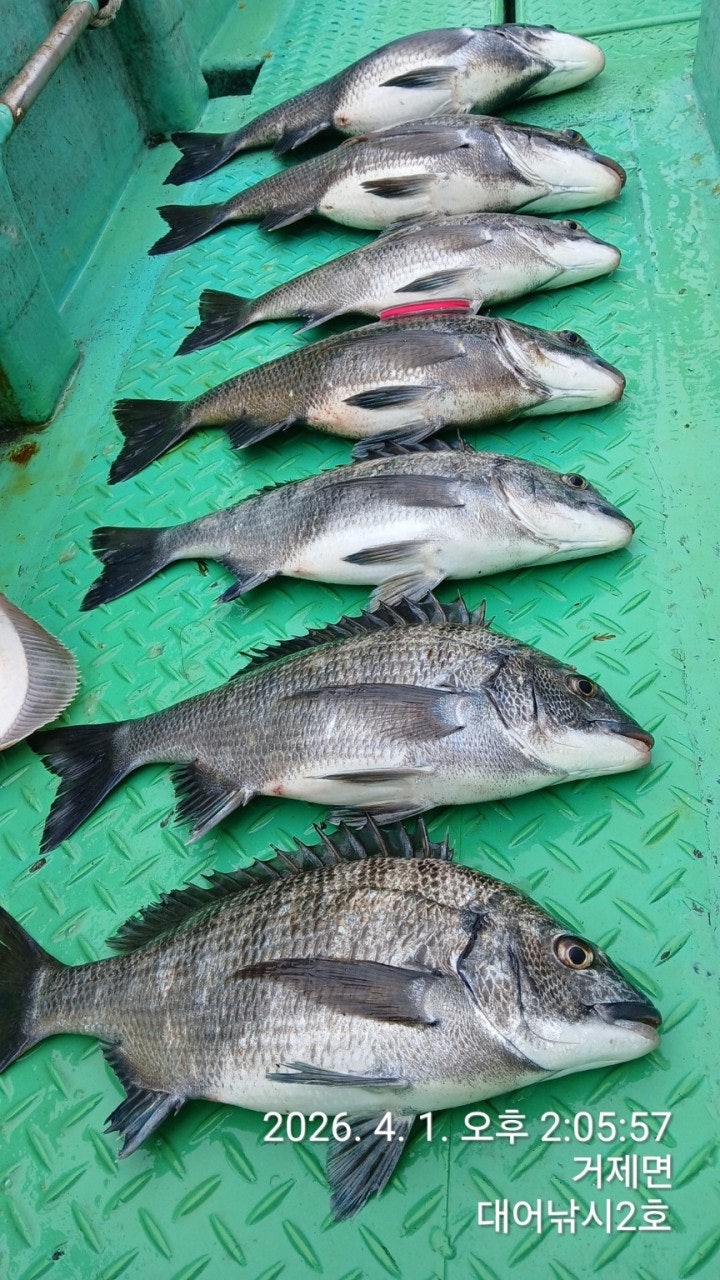 ����ڰ� �ø� �̹���