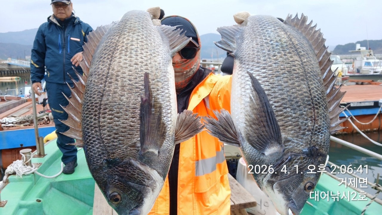 ����ڰ� �ø� �̹���