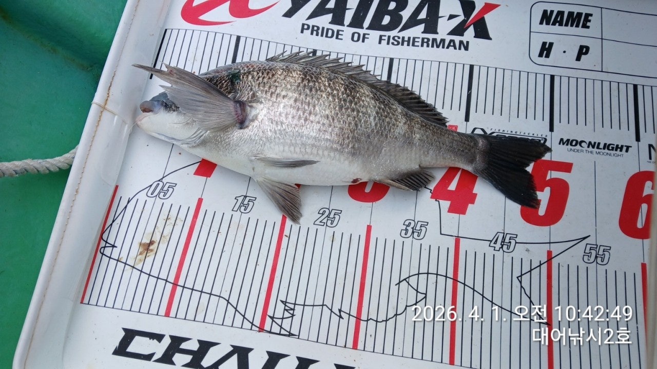 ����ڰ� �ø� �̹���