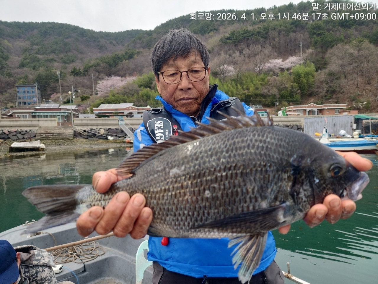 ����ڰ� �ø� �̹���