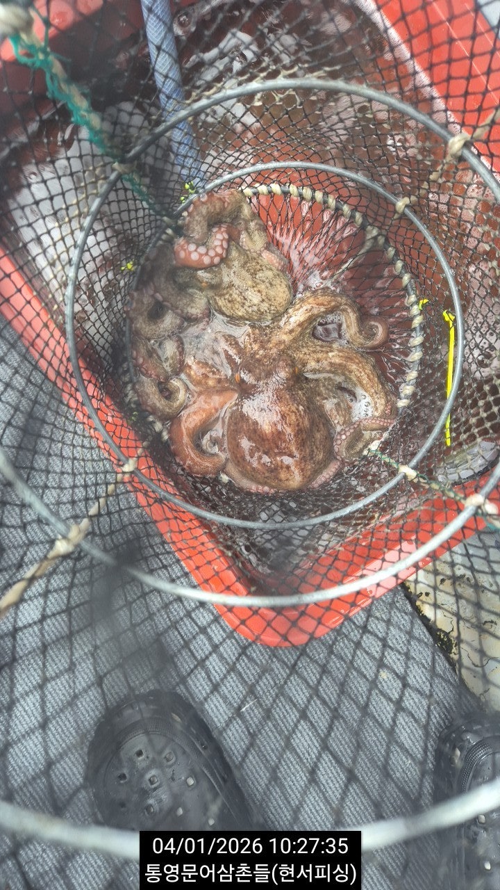 ����ڰ� �ø� �̹���