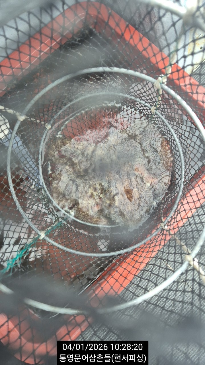 ����ڰ� �ø� �̹���