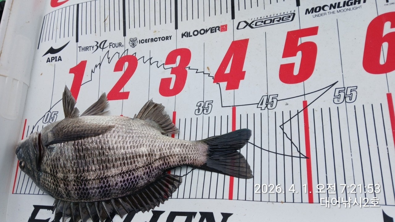 ����ڰ� �ø� �̹���