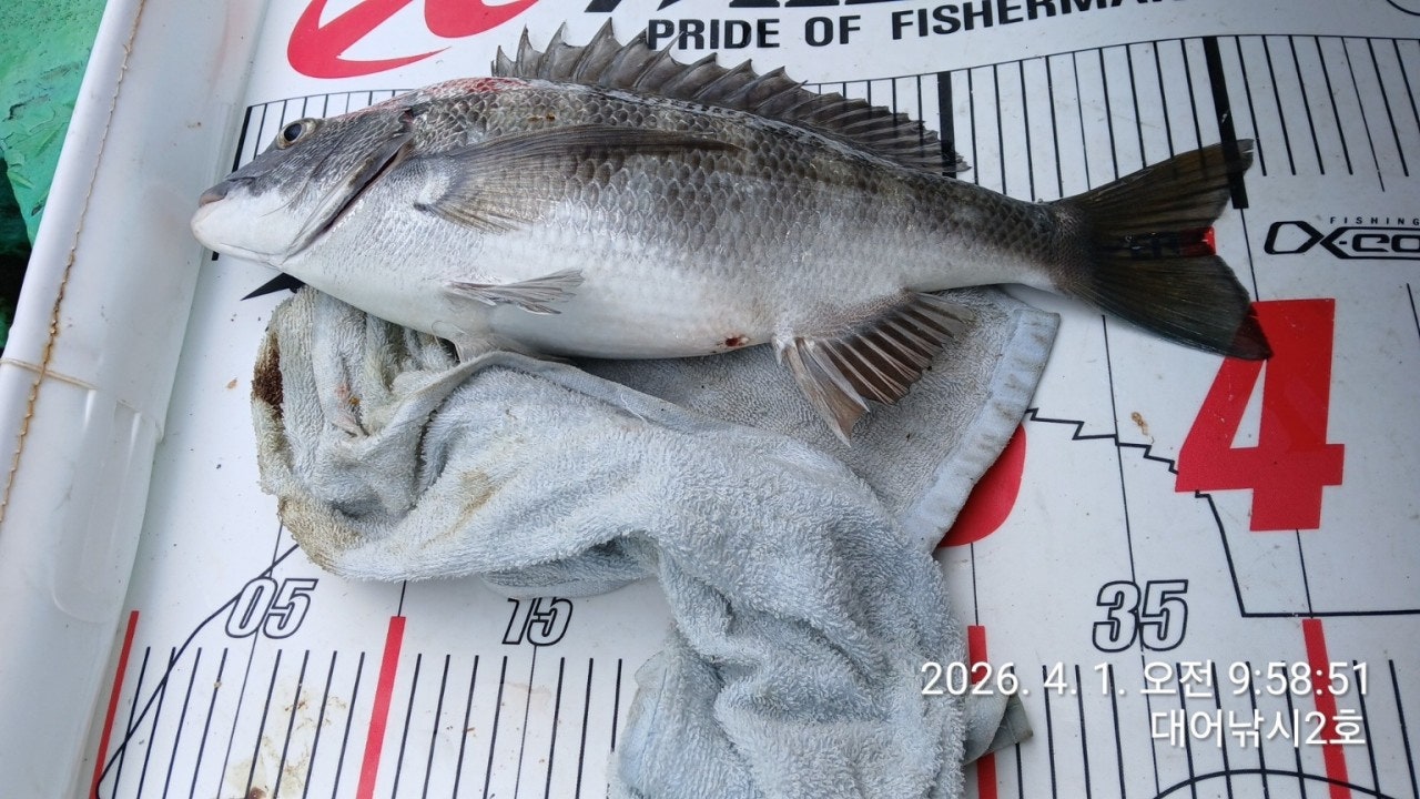 ����ڰ� �ø� �̹���