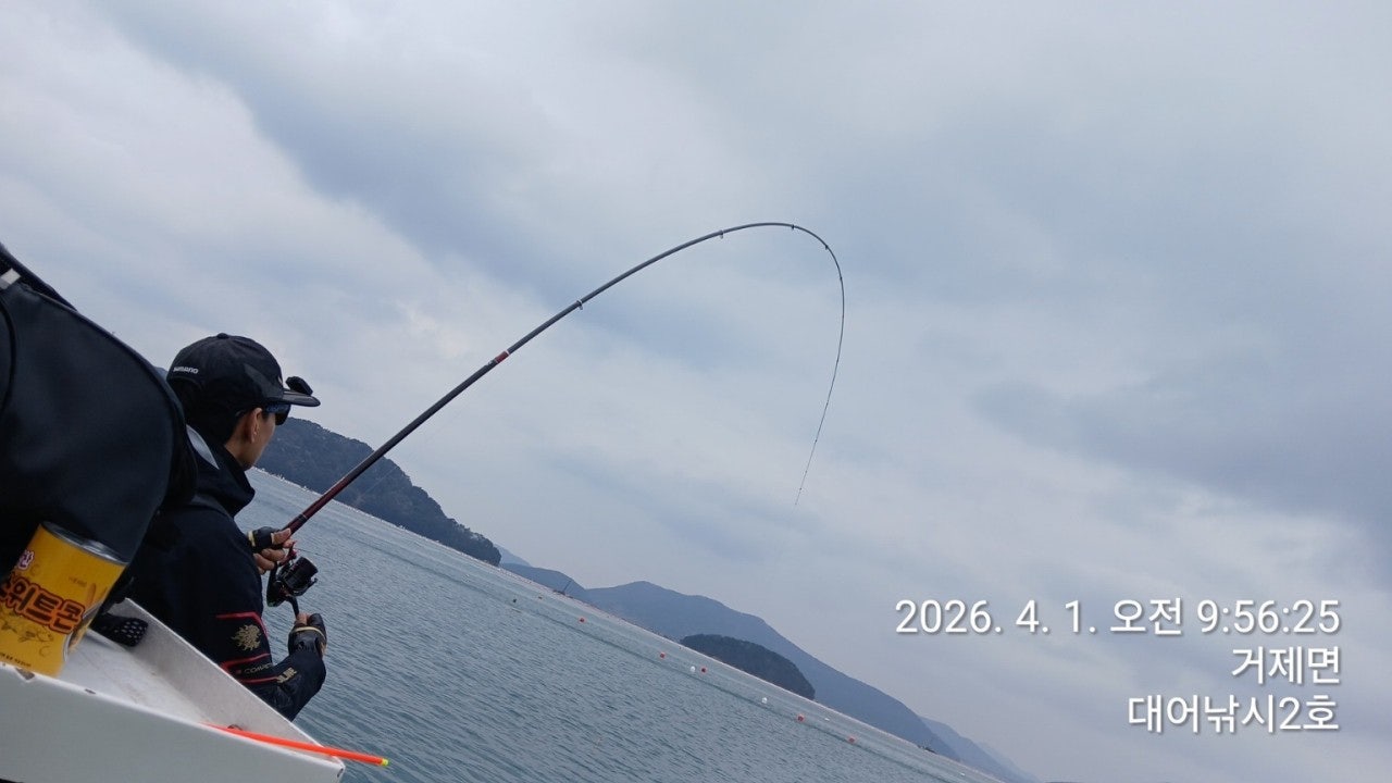 ����ڰ� �ø� �̹���