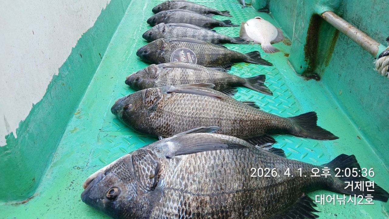 ����ڰ� �ø� �̹���