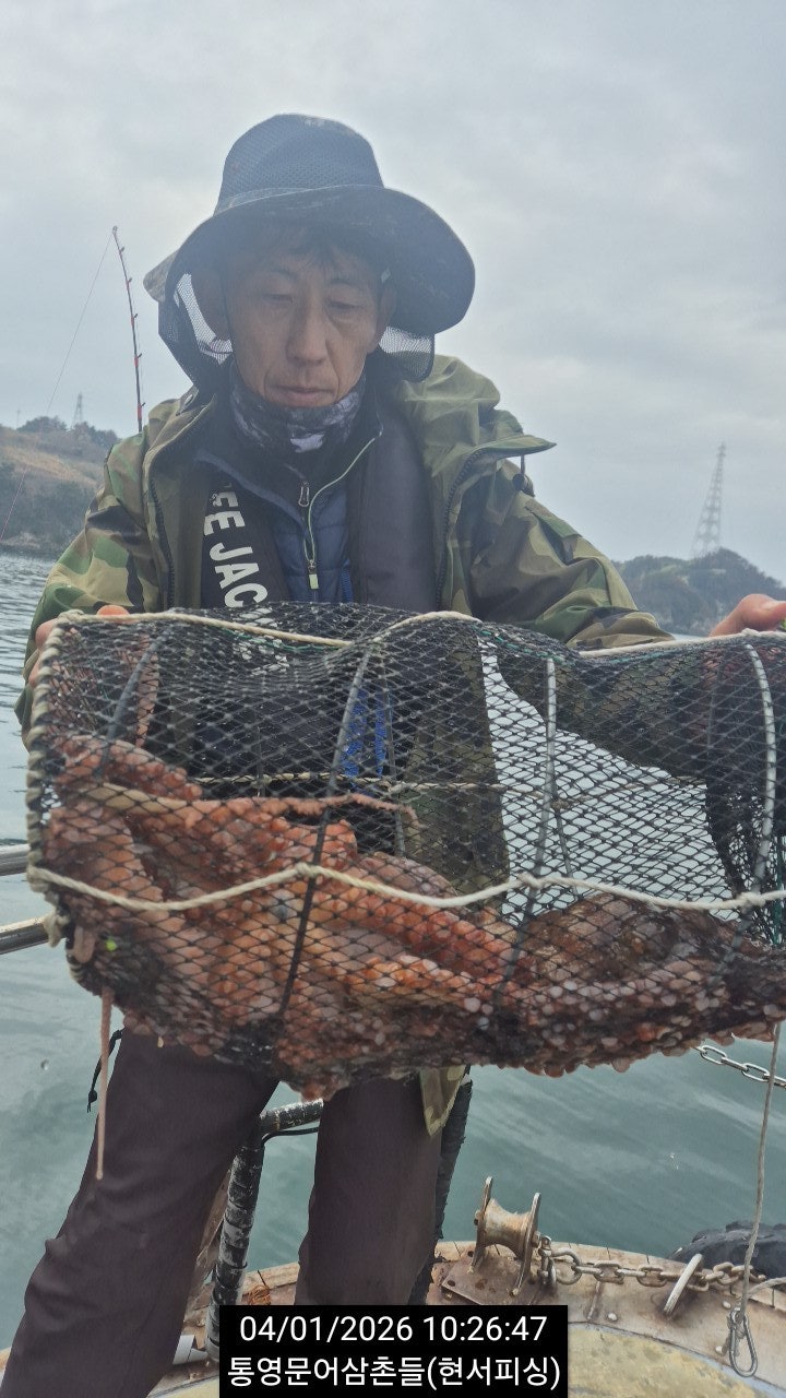 ����ڰ� �ø� �̹���