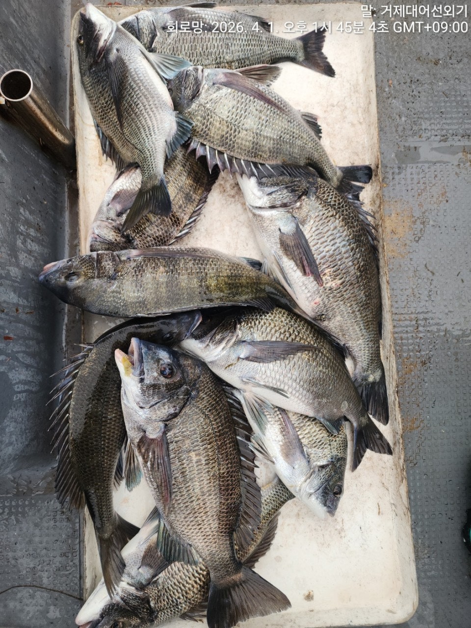 ����ڰ� �ø� �̹���