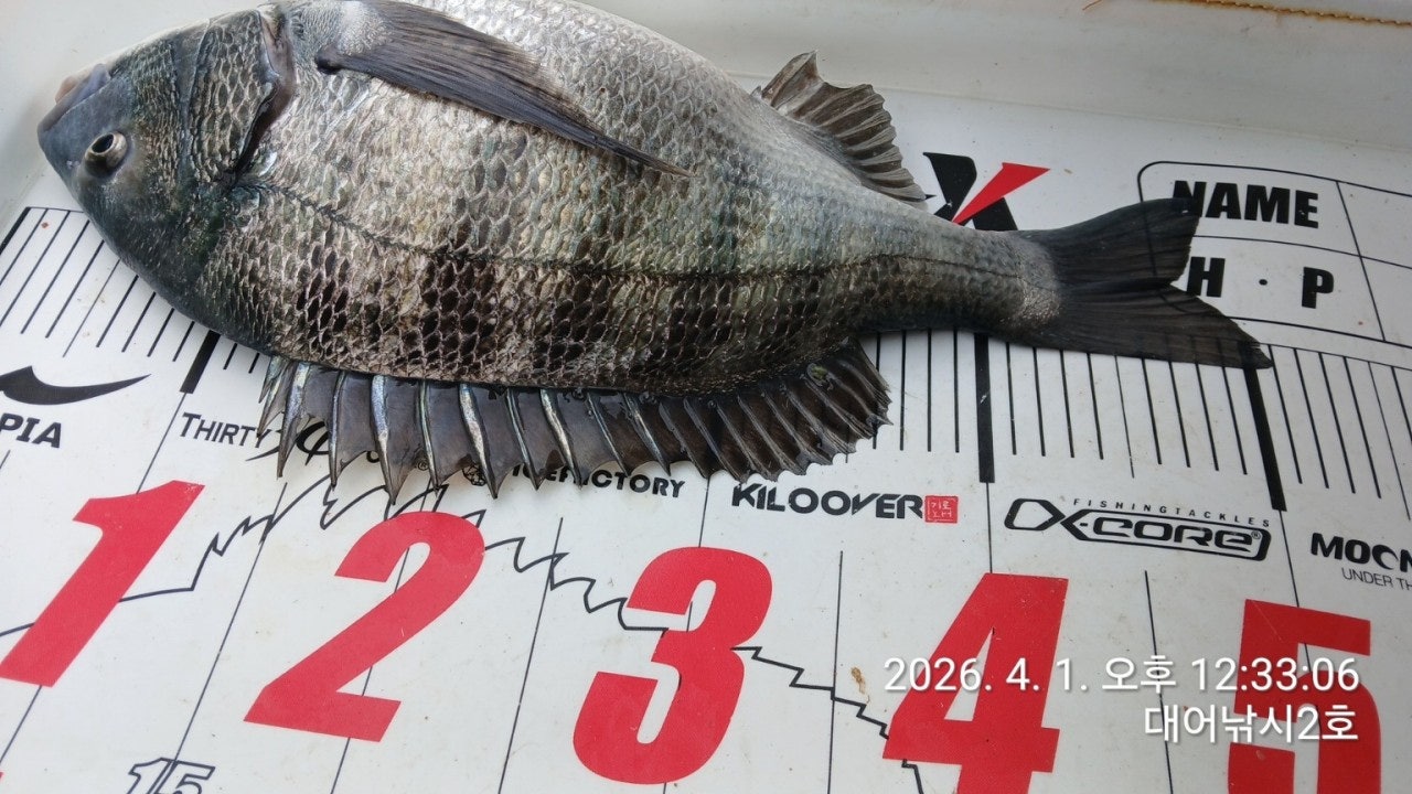 ����ڰ� �ø� �̹���