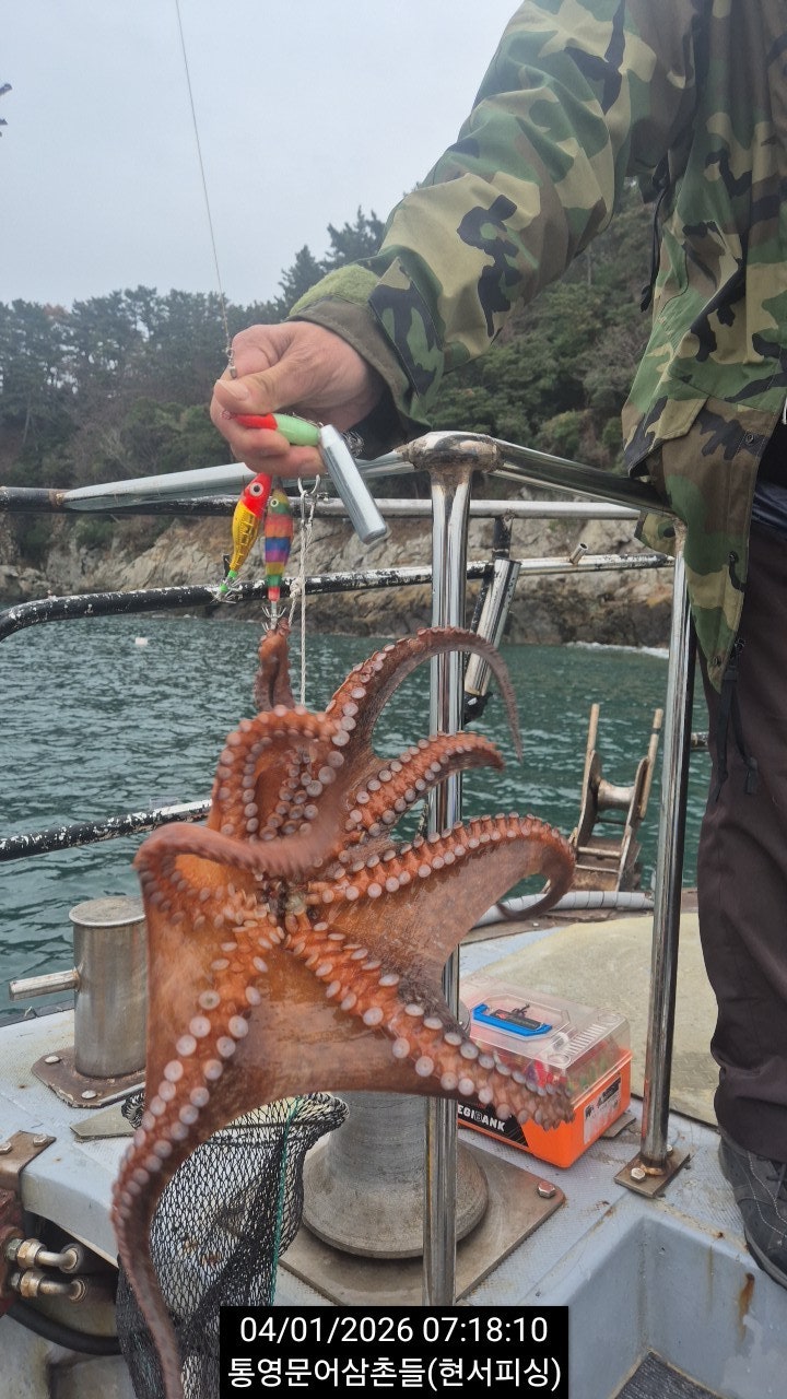 ����ڰ� �ø� �̹���