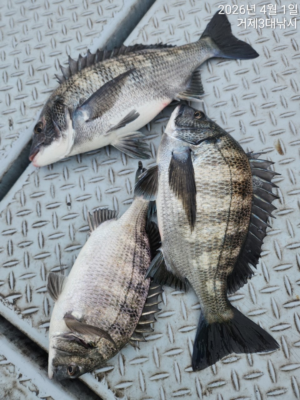 ����ڰ� �ø� �̹���