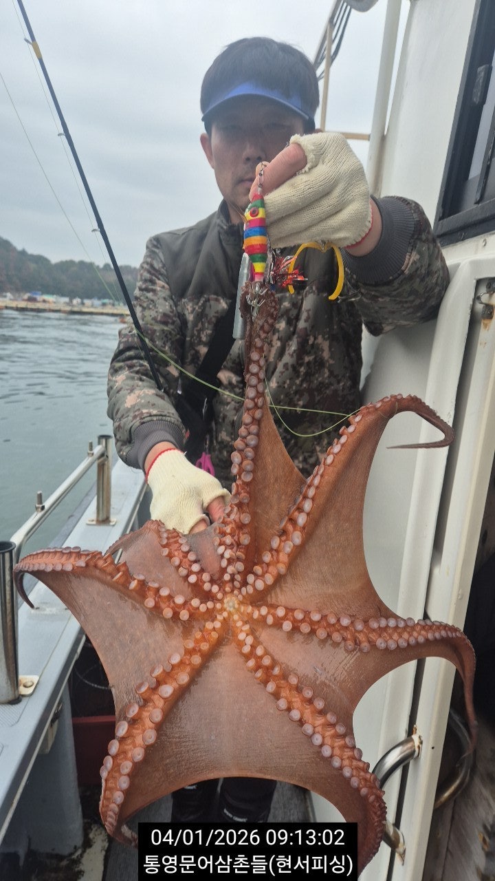 ����ڰ� �ø� �̹���