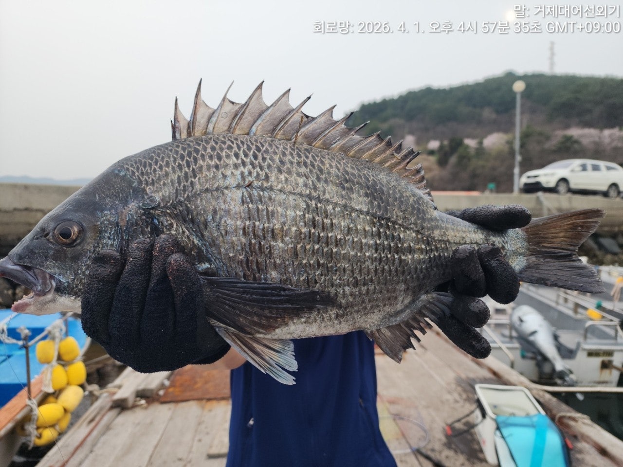 ����ڰ� �ø� �̹���