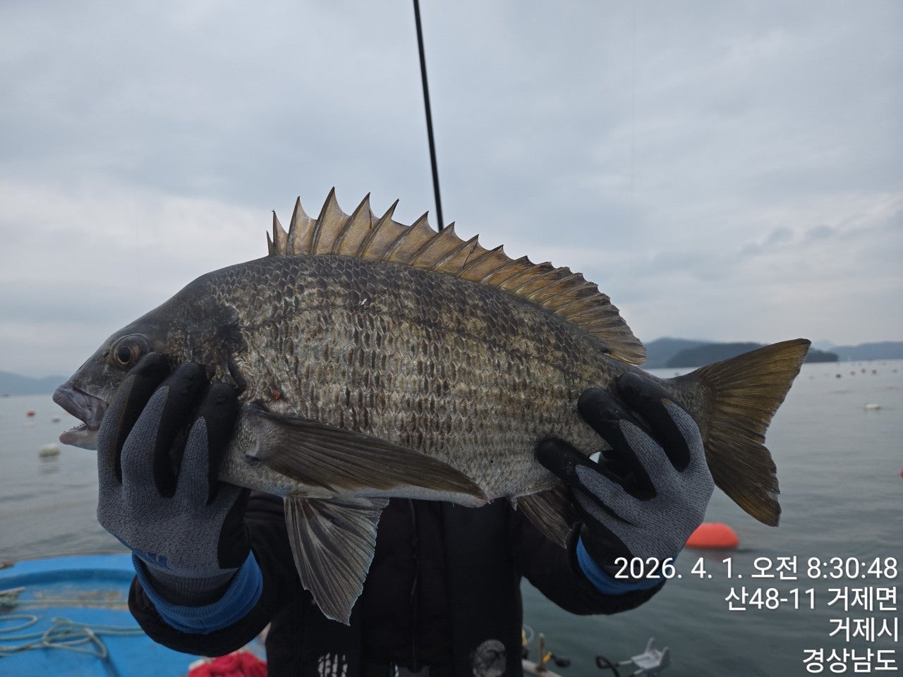 ����ڰ� �ø� �̹���