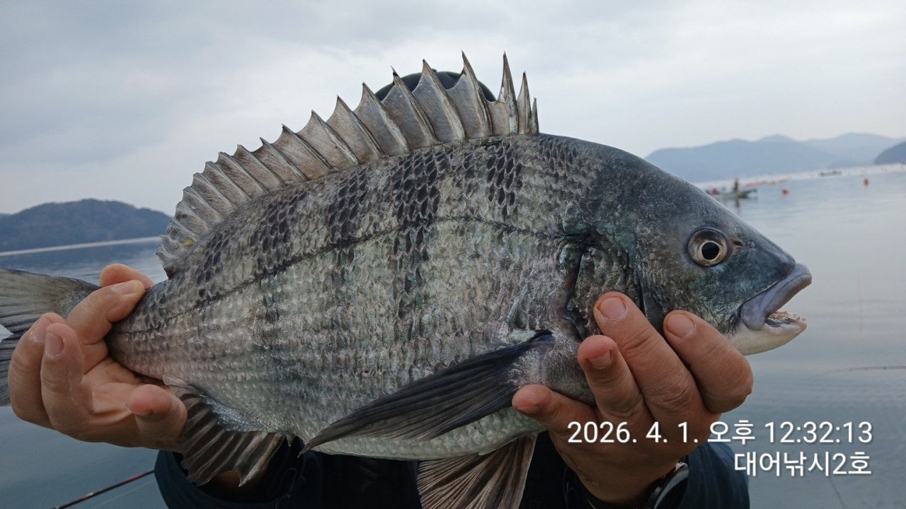 ����ڰ� �ø� �̹���