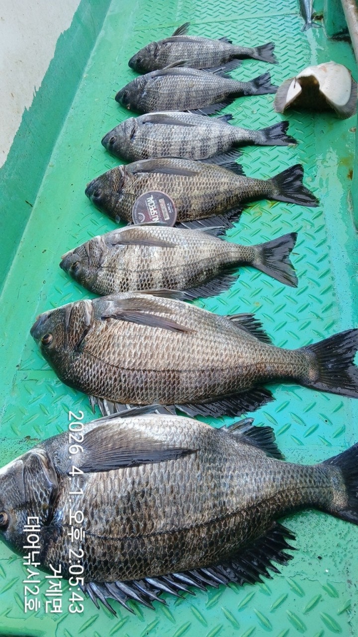 ����ڰ� �ø� �̹���