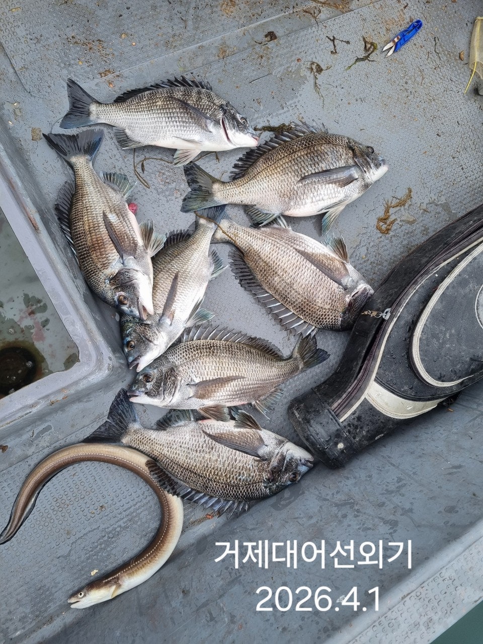 ����ڰ� �ø� �̹���