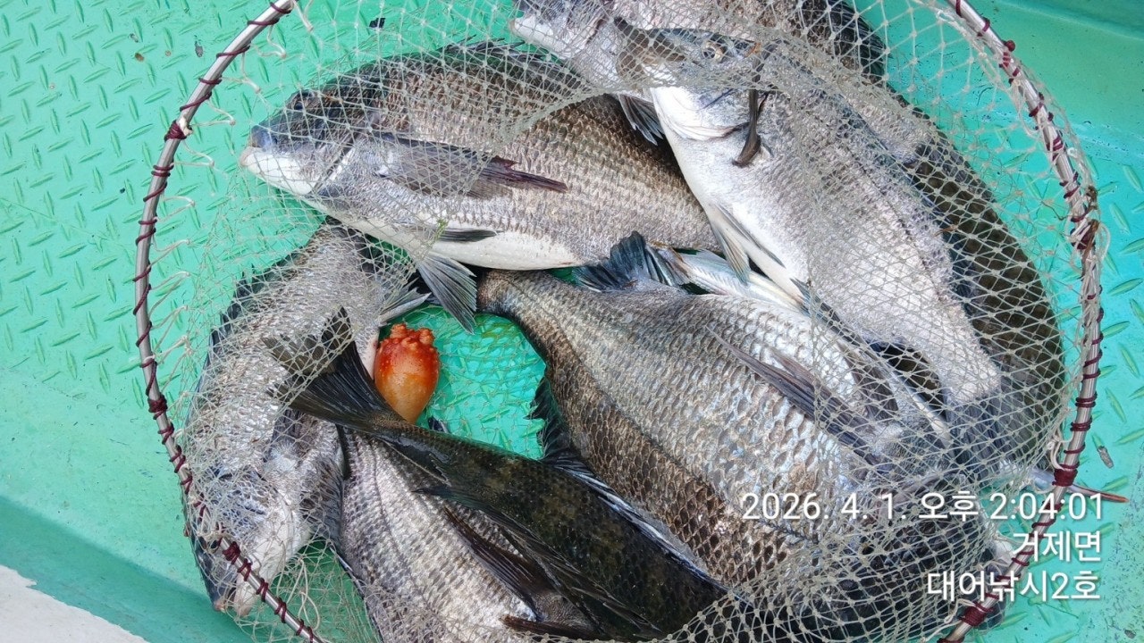 ����ڰ� �ø� �̹���