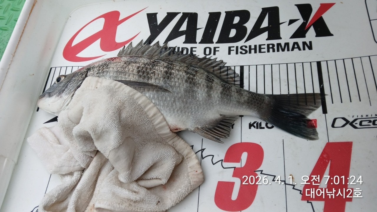 ����ڰ� �ø� �̹���