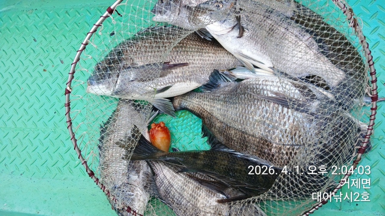 ����ڰ� �ø� �̹���