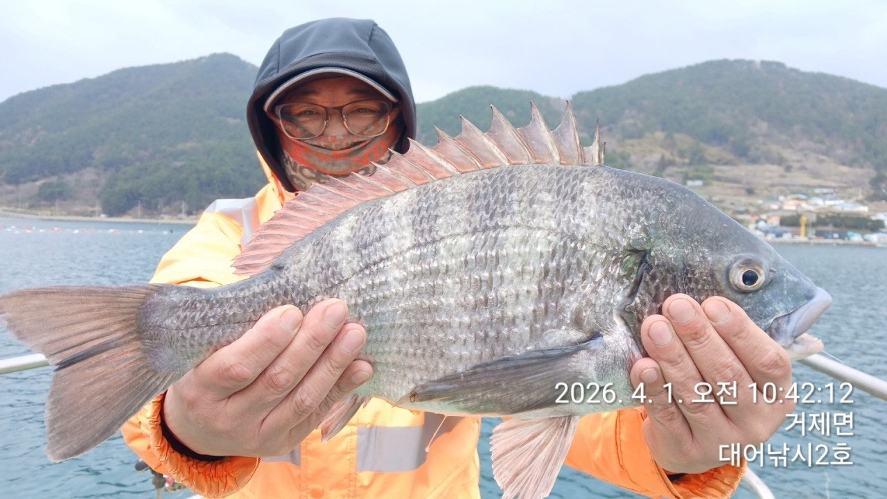 ����ڰ� �ø� �̹���