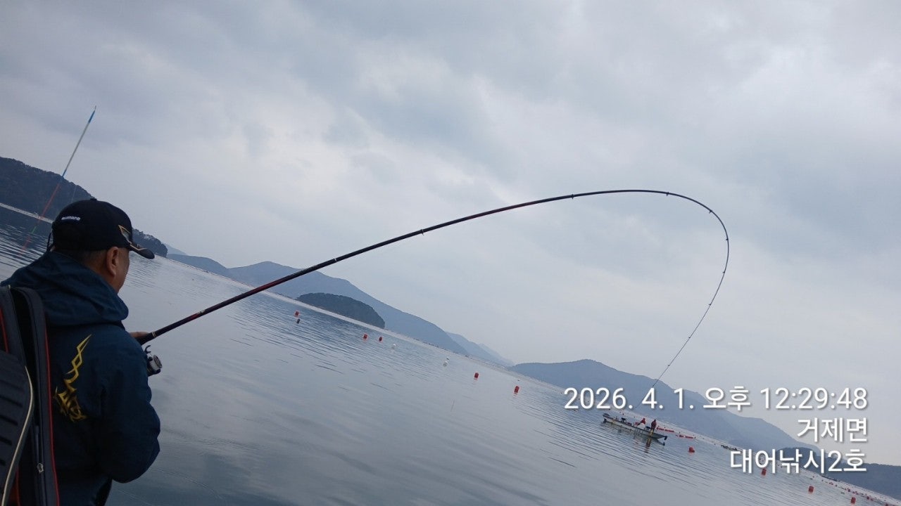 ����ڰ� �ø� �̹���