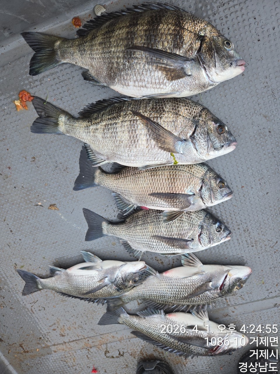 ����ڰ� �ø� �̹���