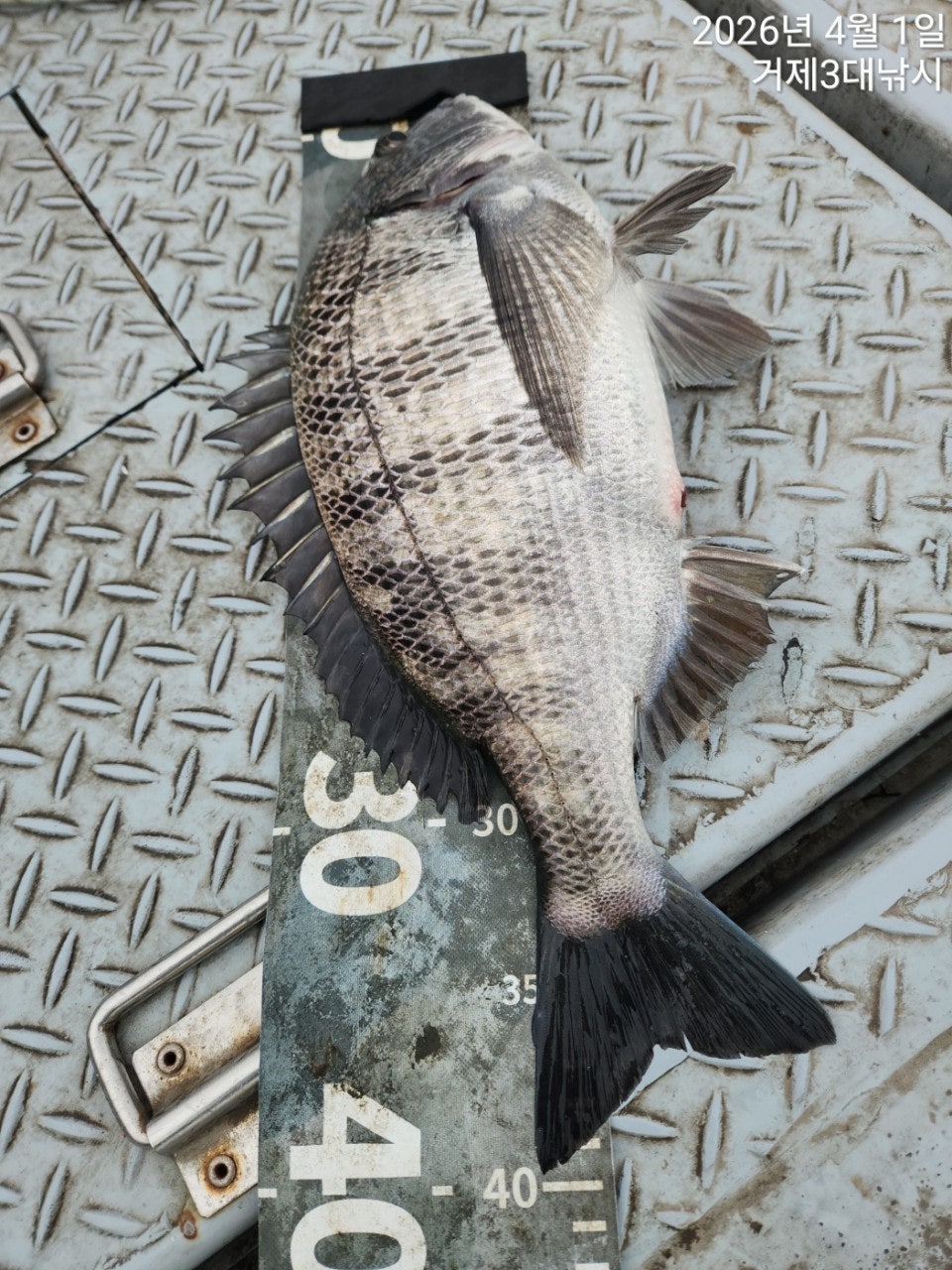 ����ڰ� �ø� �̹���