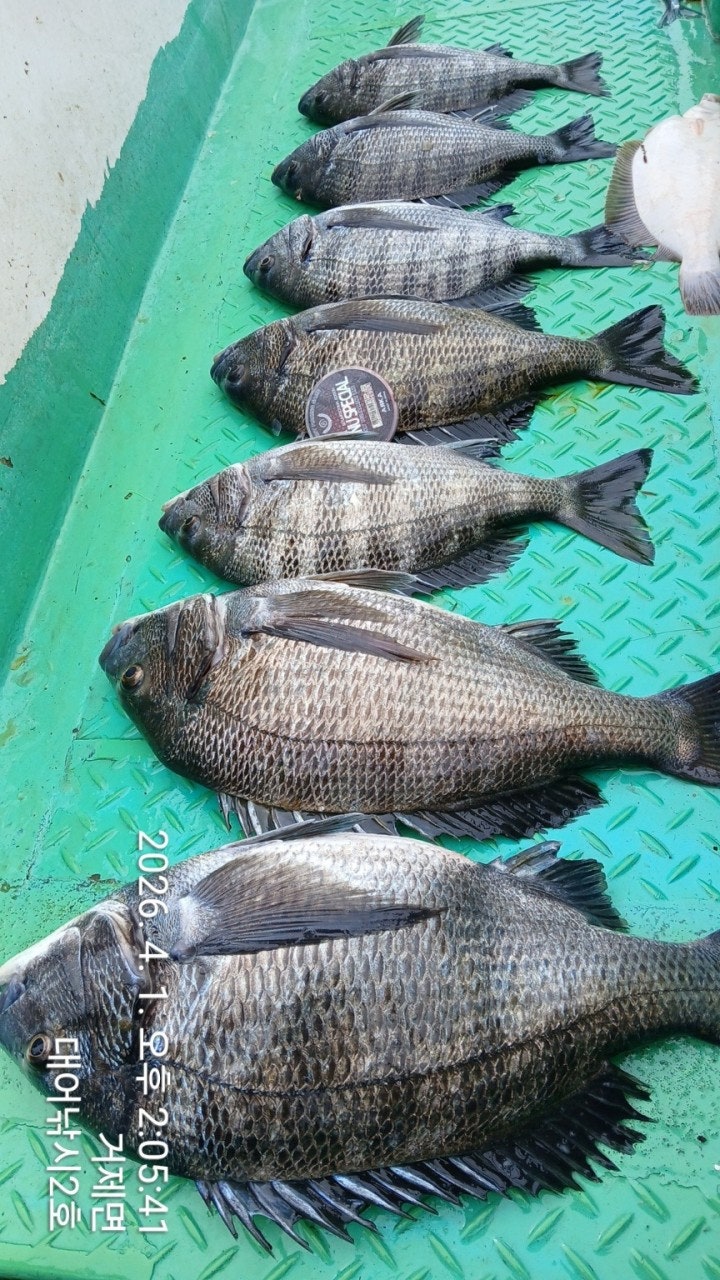 ����ڰ� �ø� �̹���