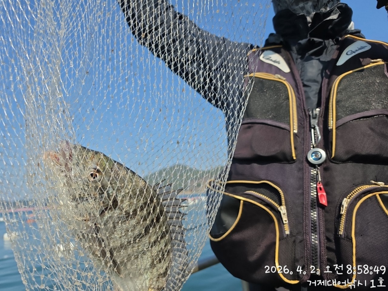 ����ڰ� �ø� �̹���