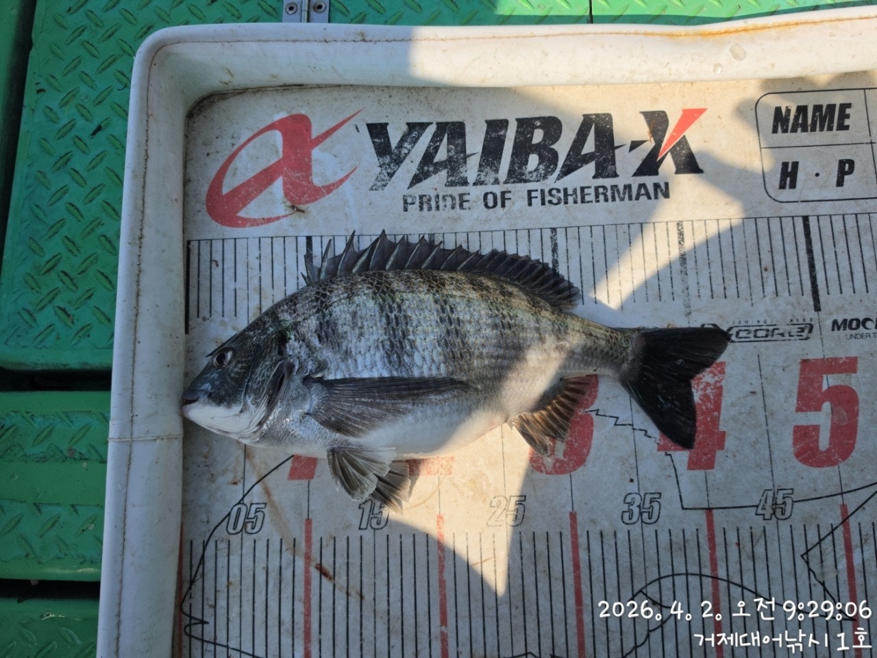 ����ڰ� �ø� �̹���