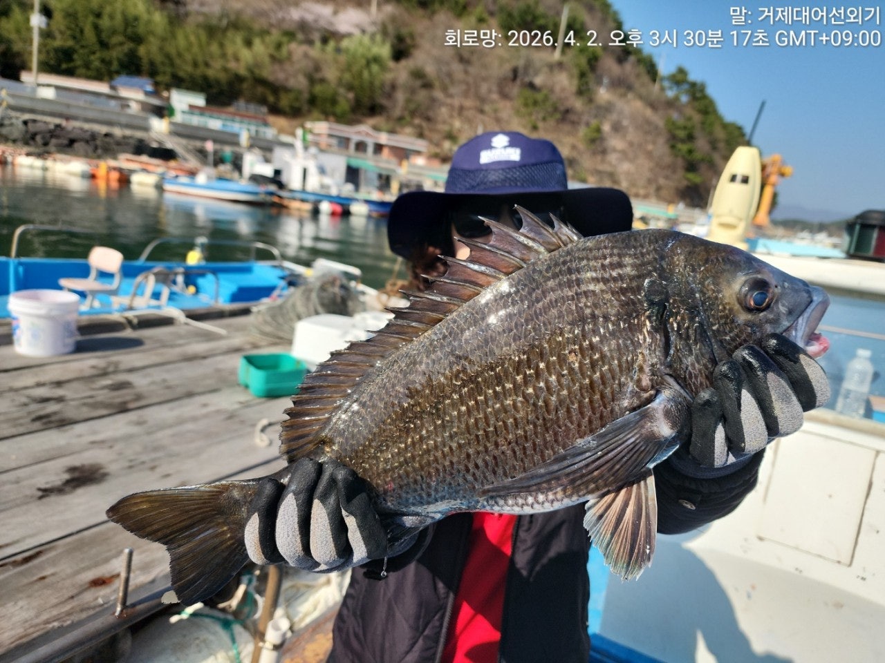 ����ڰ� �ø� �̹���