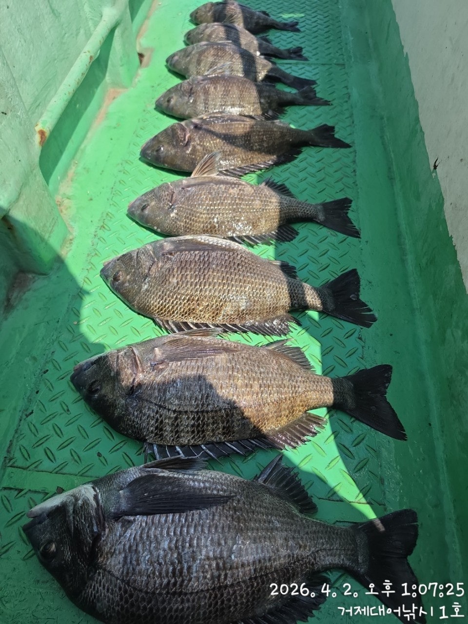 ����ڰ� �ø� �̹���