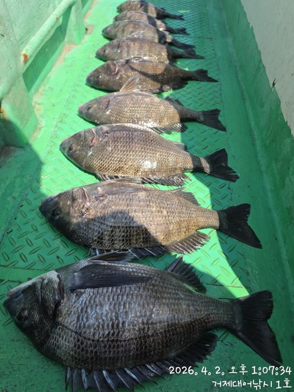 ����ڰ� �ø� �̹���