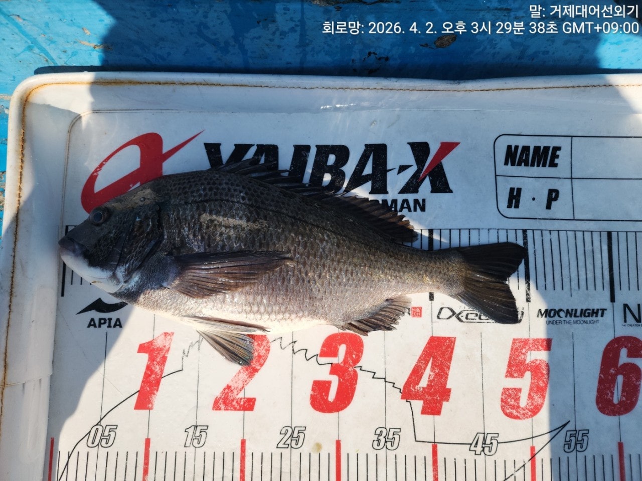 ����ڰ� �ø� �̹���