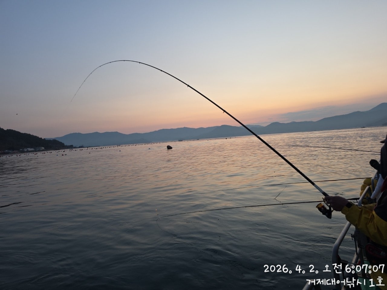 ����ڰ� �ø� �̹���