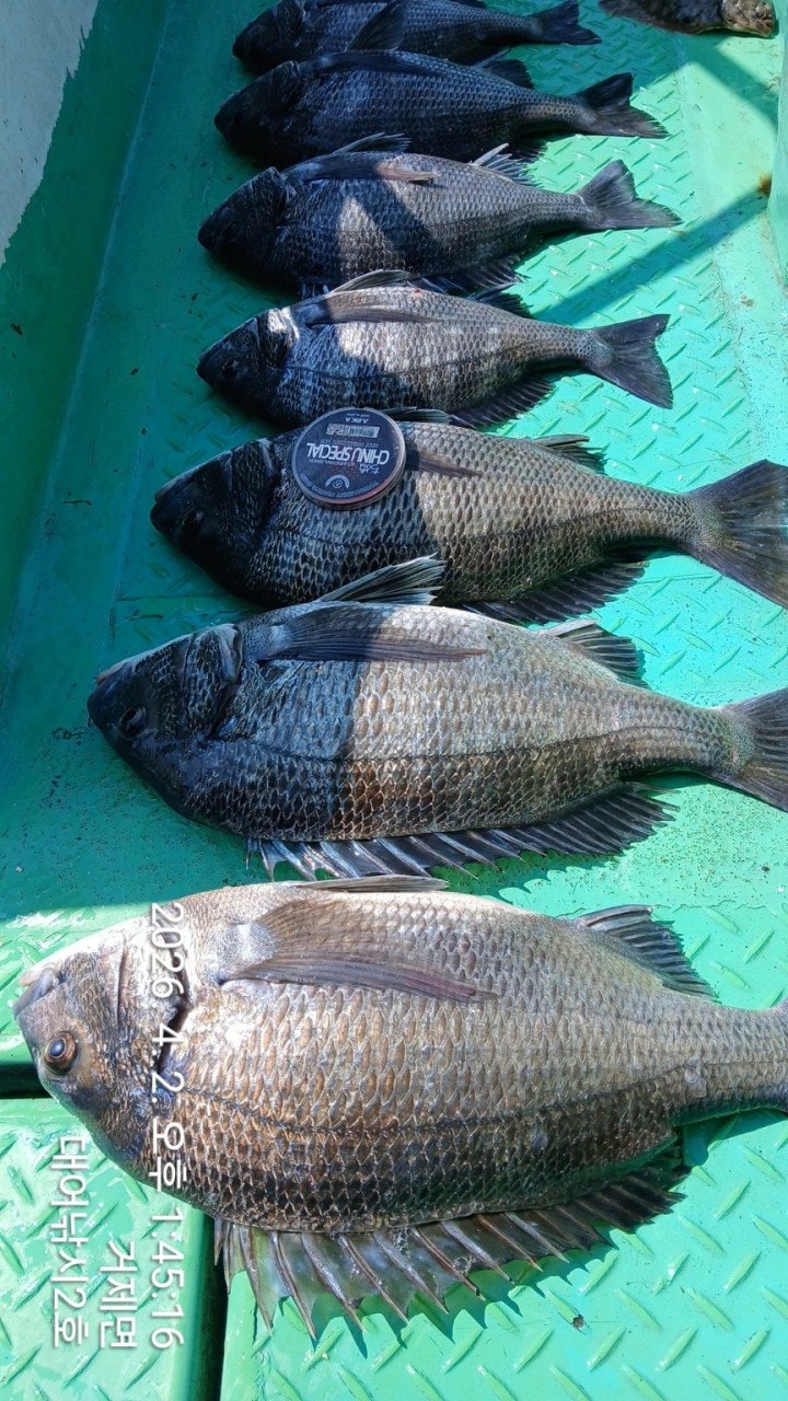 ����ڰ� �ø� �̹���