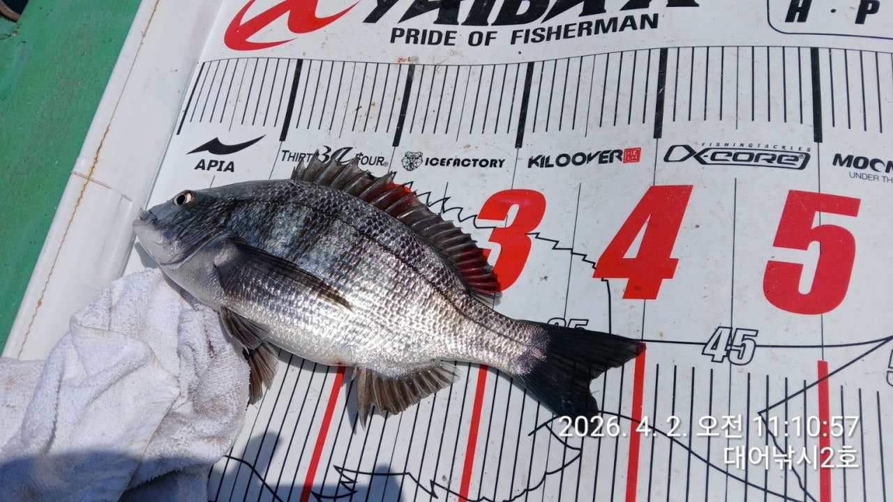 ����ڰ� �ø� �̹���