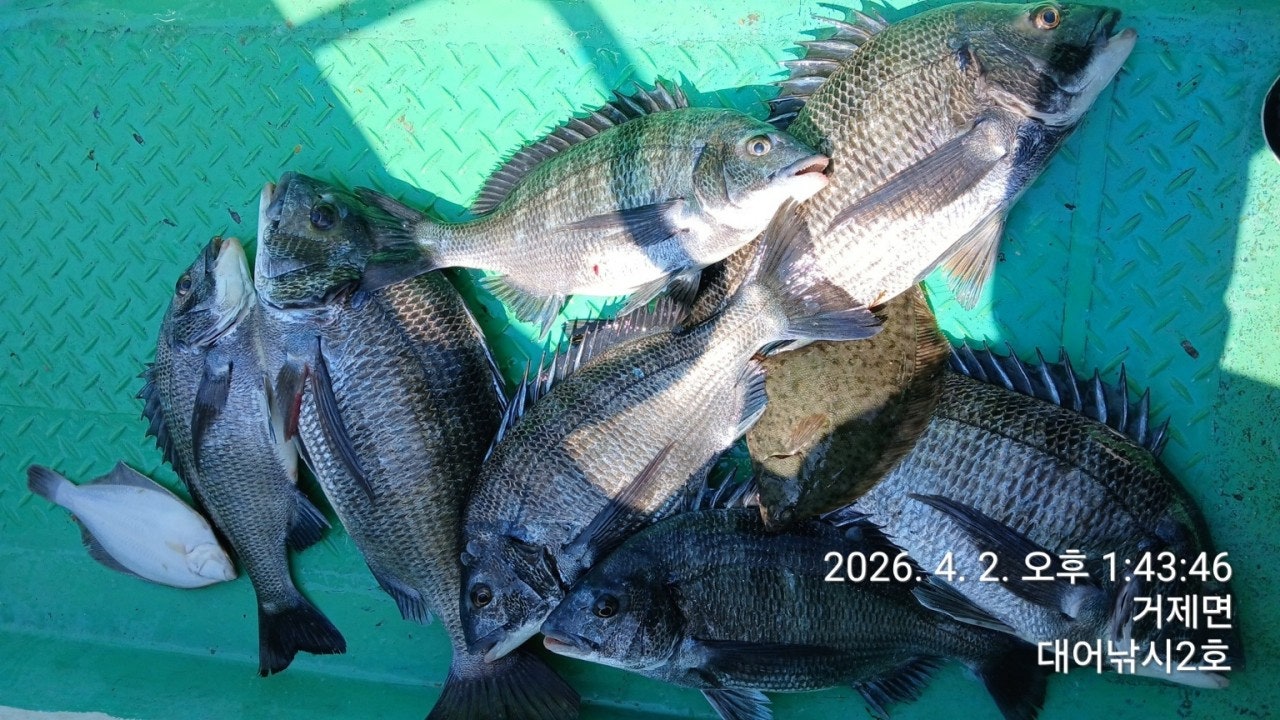 ����ڰ� �ø� �̹���