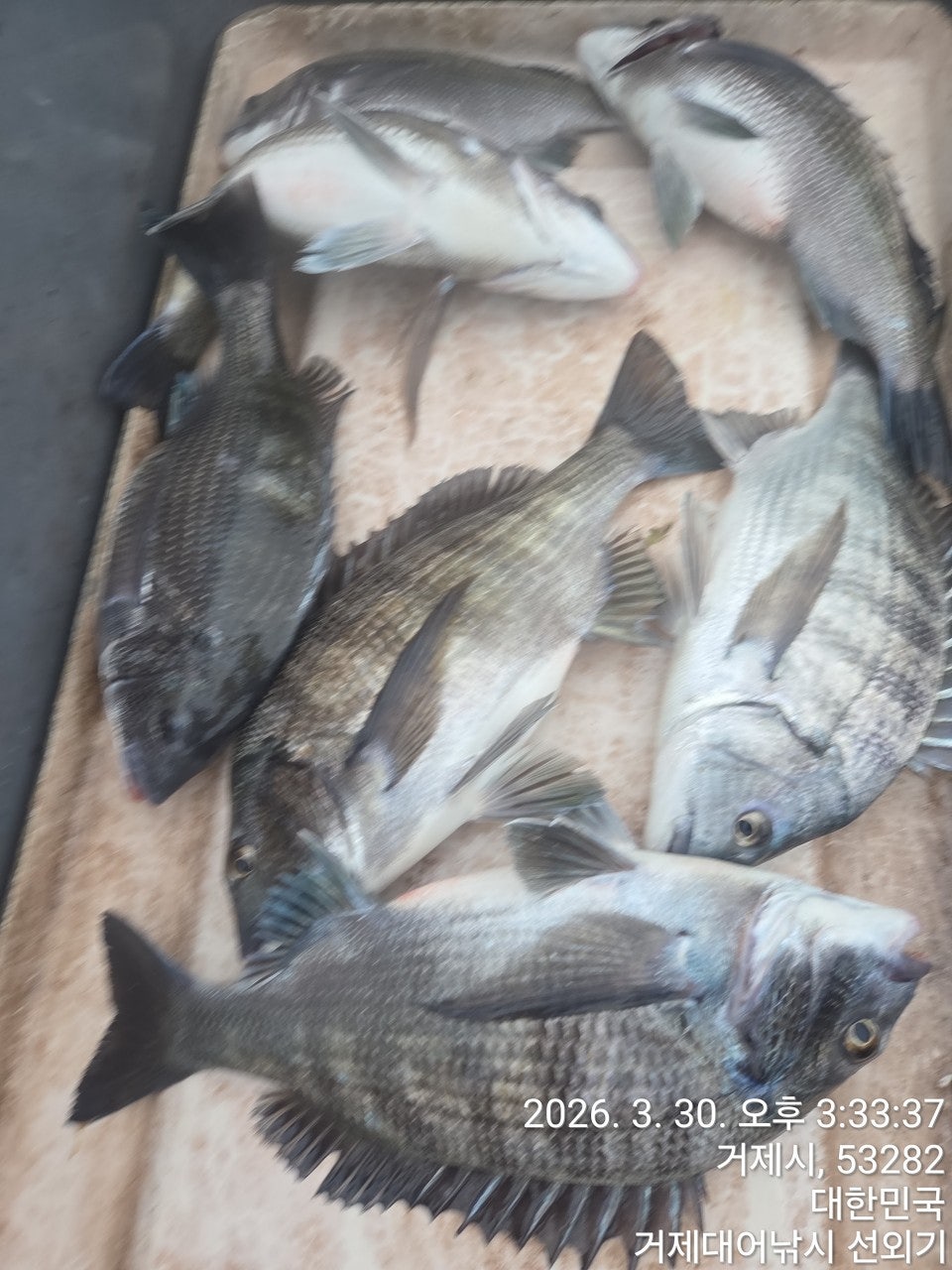 ����ڰ� �ø� �̹���