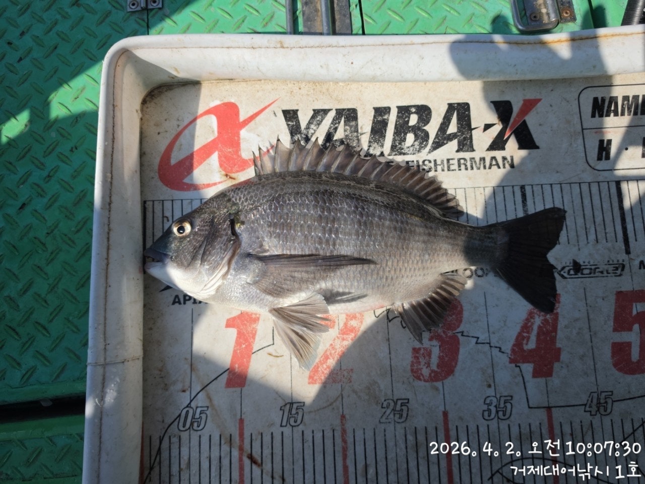 ����ڰ� �ø� �̹���