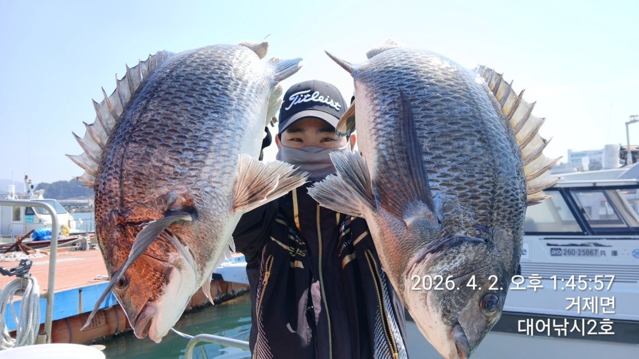 ����ڰ� �ø� �̹���