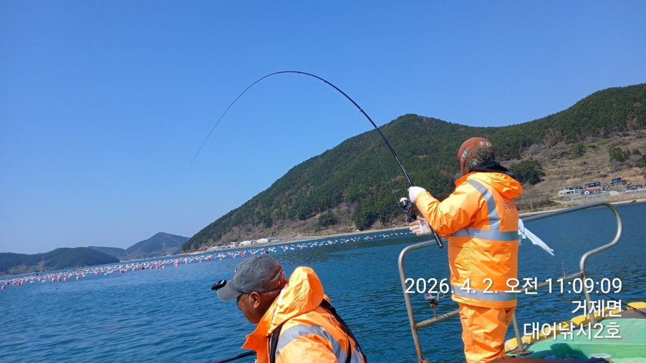 ����ڰ� �ø� �̹���