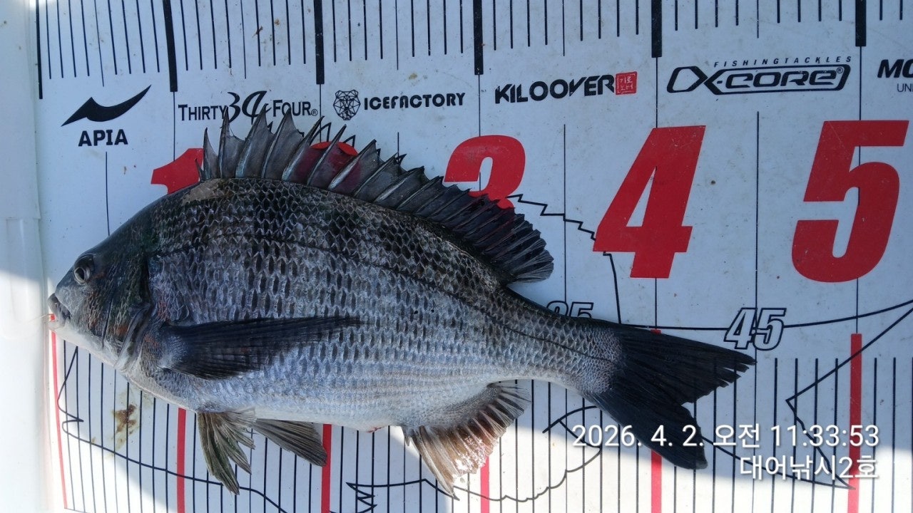 ����ڰ� �ø� �̹���