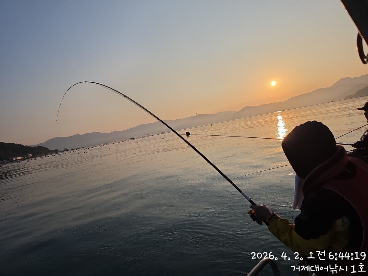 ����ڰ� �ø� �̹���