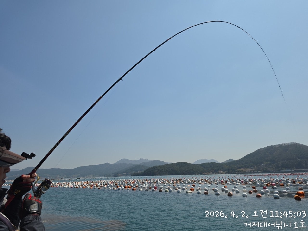 ����ڰ� �ø� �̹���