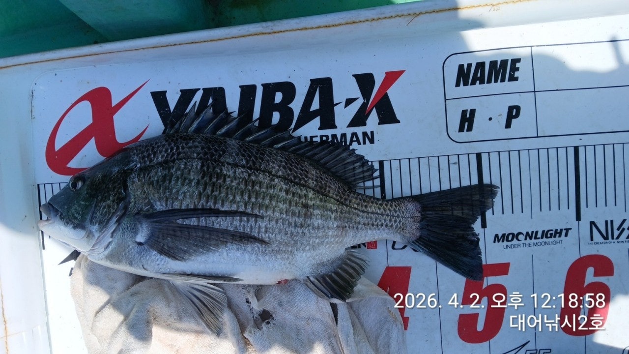 ����ڰ� �ø� �̹���